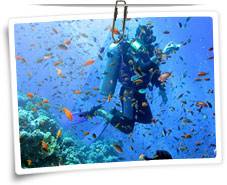 Scuba Diving and Snorkeling in India