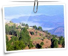 Ranikhet Tour