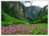 Valley of Flowers, Himalayas