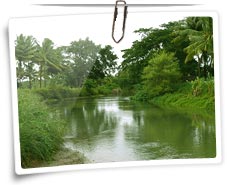 Kabini National Park