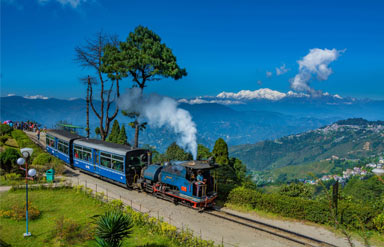 Sikkim Delight