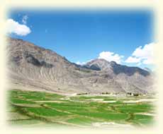 Nubra Valley, Ladakh