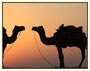 Heritage Rajasthan Tour Packages