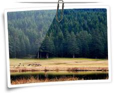 Khajjiar Lake