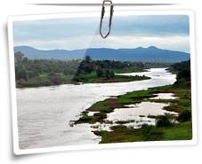 Koyna River