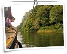 Periyar Wildlife Sanctuary